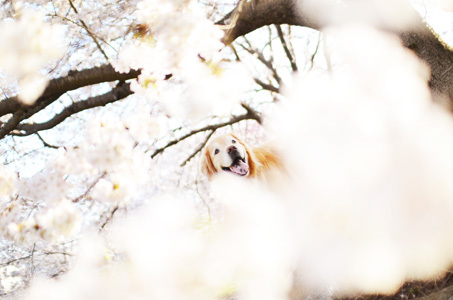 撮影時の表情_f0044853_17190042.jpg