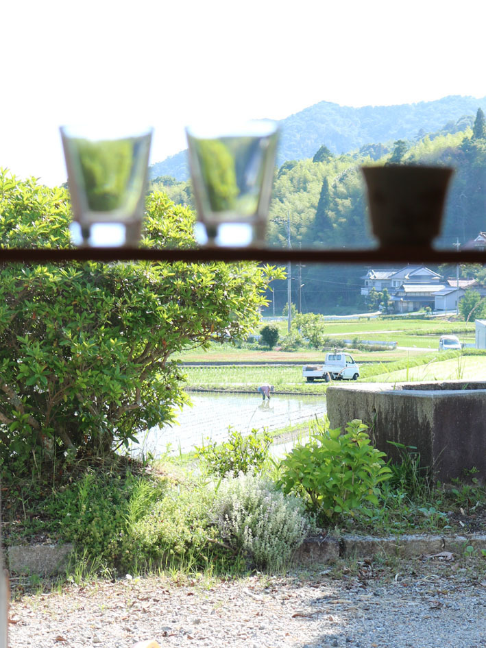 梅雨入り前の風景　〜ミニギャラリーの窓から〜_c0334574_08484137.jpg