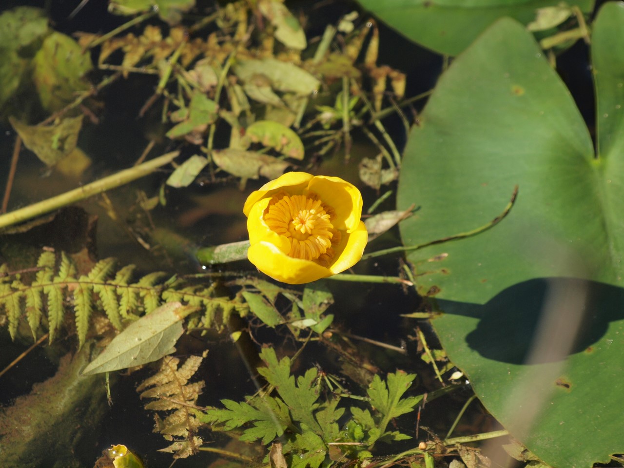d0054276_2046275.jpg