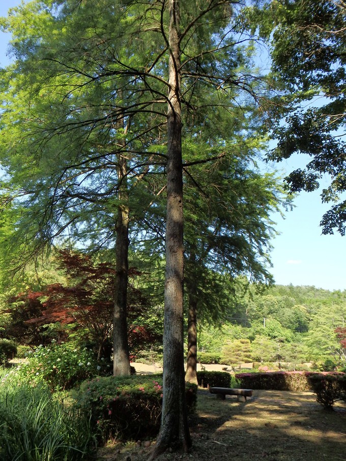 d0054276_20473391.jpg