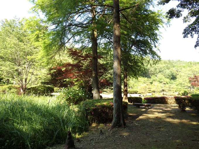 d0054276_20474372.jpg