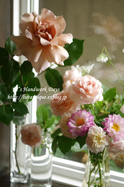f0330978_08134764.gif