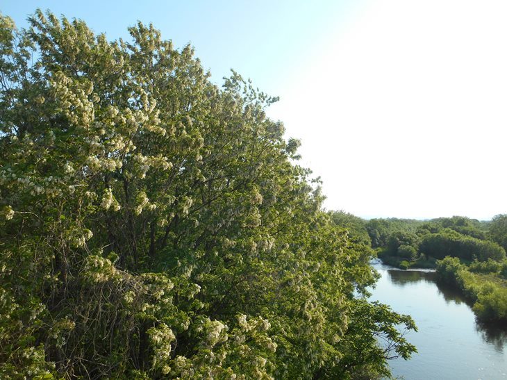 c0198781_19252882.jpg