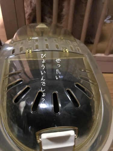 a0216583_21065900.png