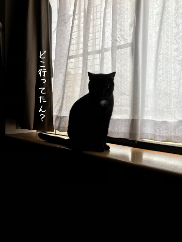 a0216583_21075658.png