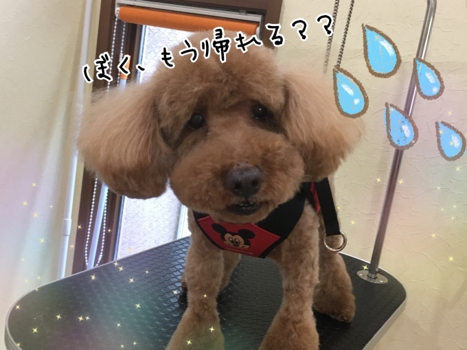d0269898_00312531.jpeg