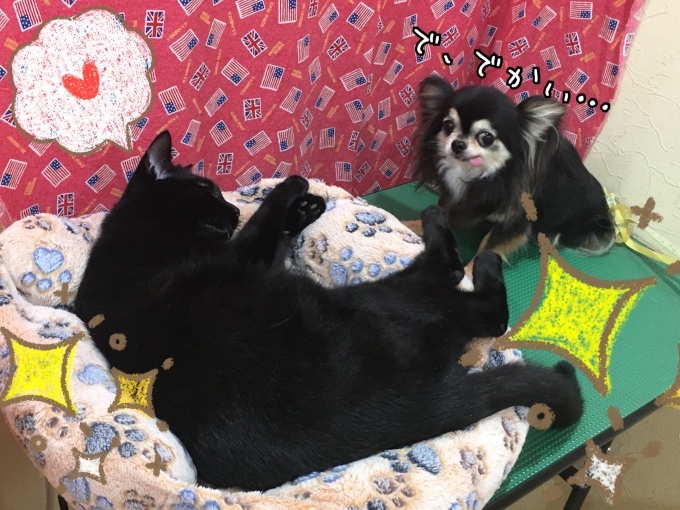 d0269898_00323518.jpeg