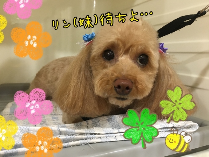 d0269898_00341567.jpeg