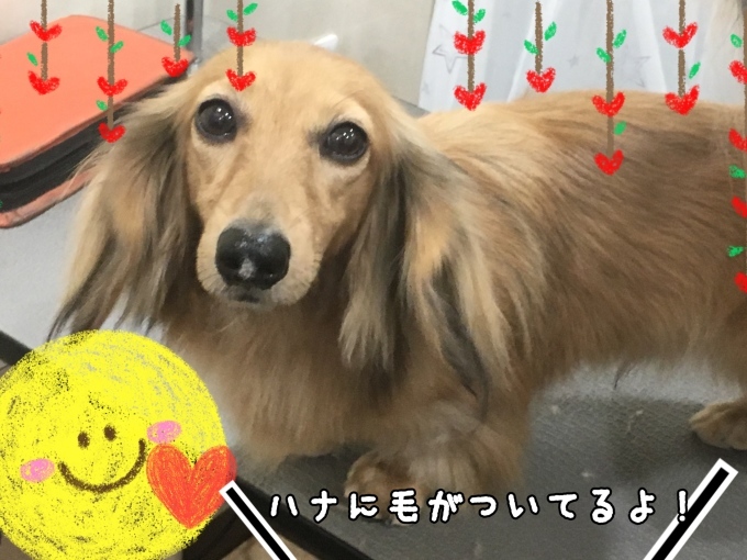 d0269898_00363346.jpeg