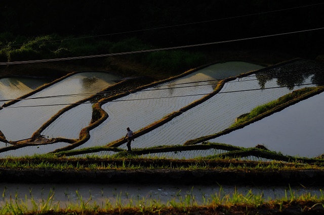 棚田の夜明け_d0362498_07435264.jpg