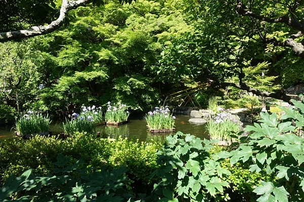 e0277800_08465439.jpg