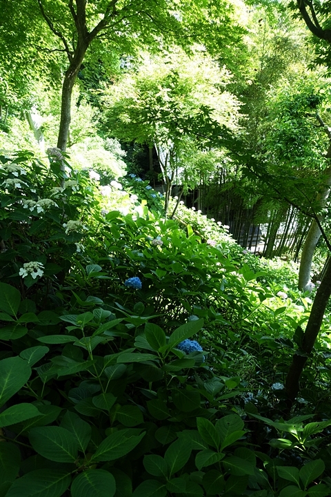 e0277800_08473215.jpg