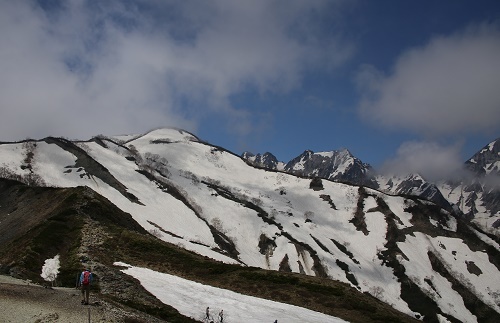 a0158702_14565808.jpg