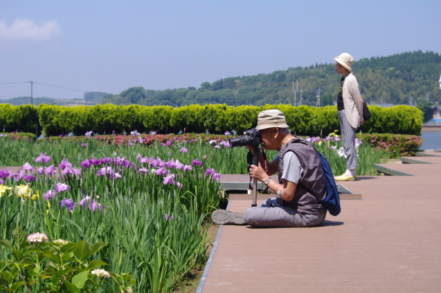 じつちゃんとショウブ_e0367104_11315341.jpg