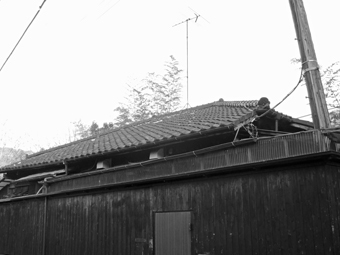 c0195909_10322754.jpg