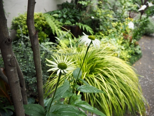 d0179410_19182316.jpeg