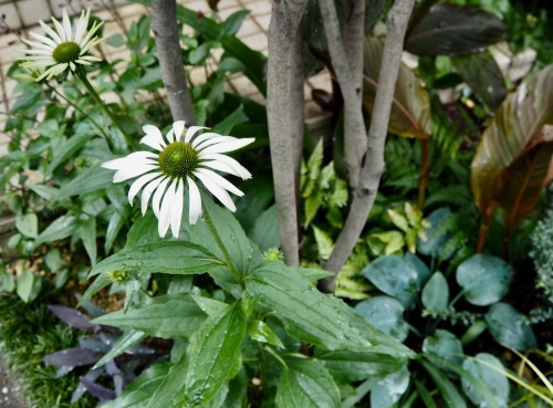d0179410_20324190.jpeg