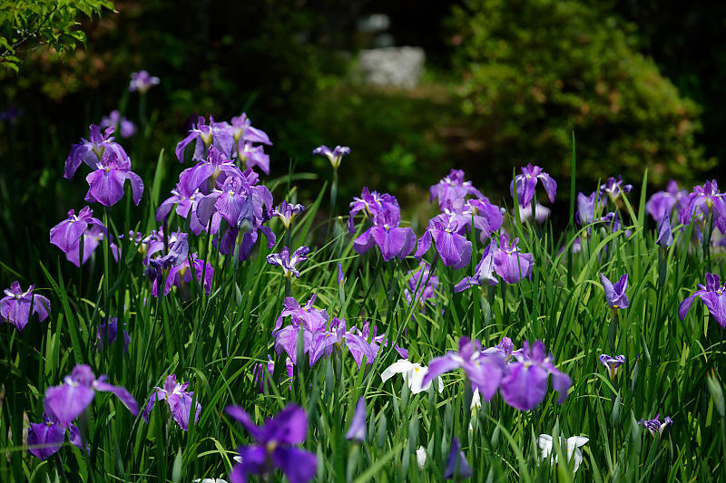 f0032011_21303823.jpg