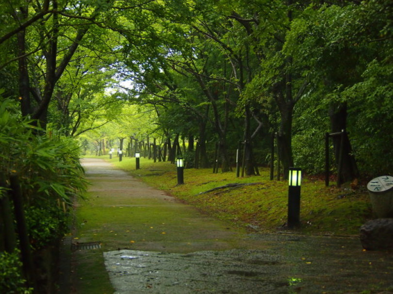 d0048812_10312679.jpg