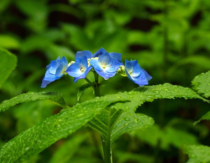 d0048812_10315997.jpg