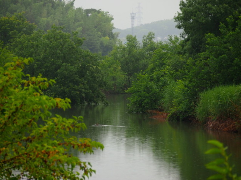 d0048812_10321837.jpg