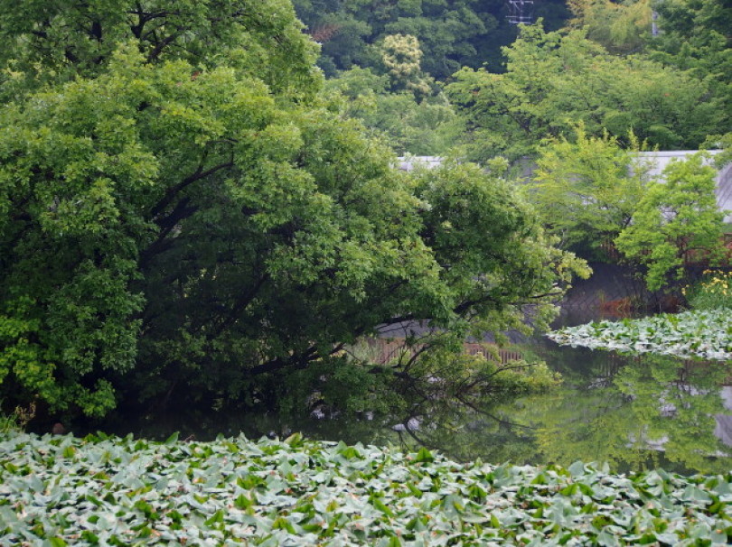 d0048812_10340376.jpg