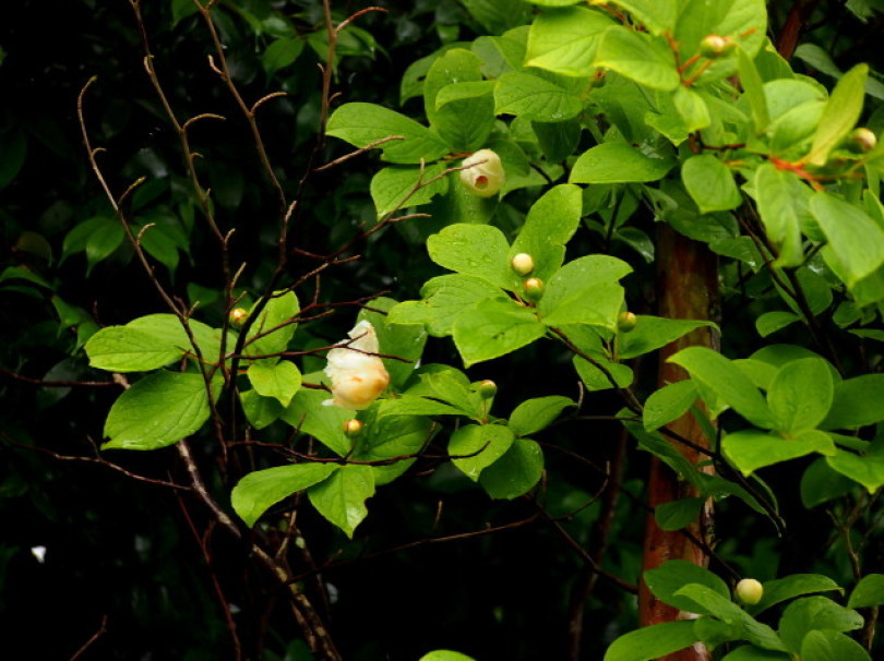 d0048812_10360235.jpg