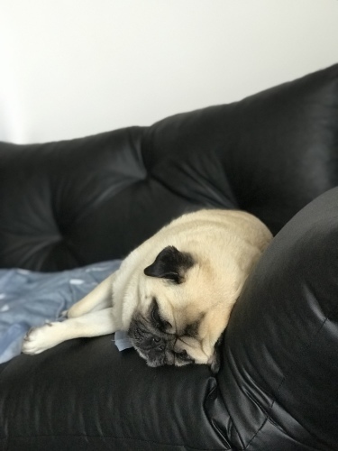 d0377714_10161793.jpeg