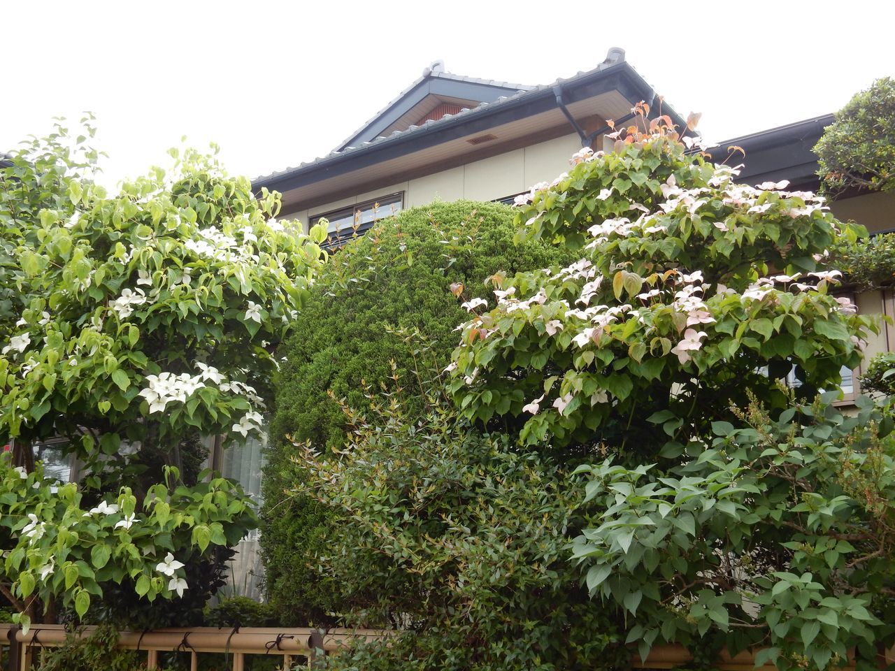 盛岡2日目_c0025115_00405917.jpg