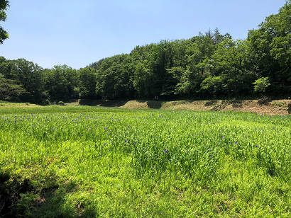 b0181818_06415973.png