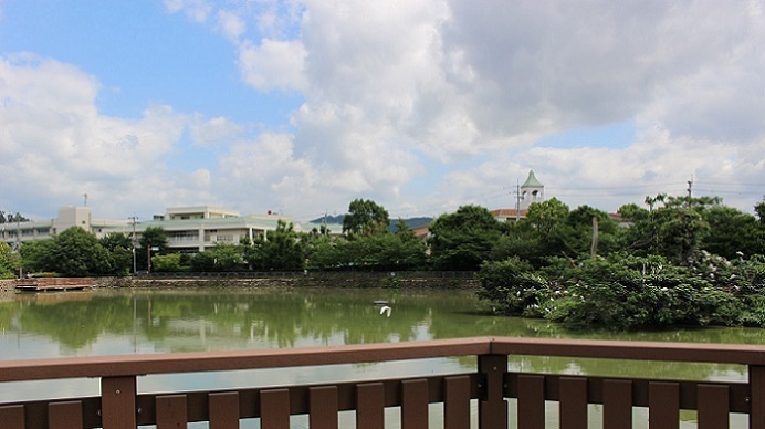 c0280322_17363478.jpg