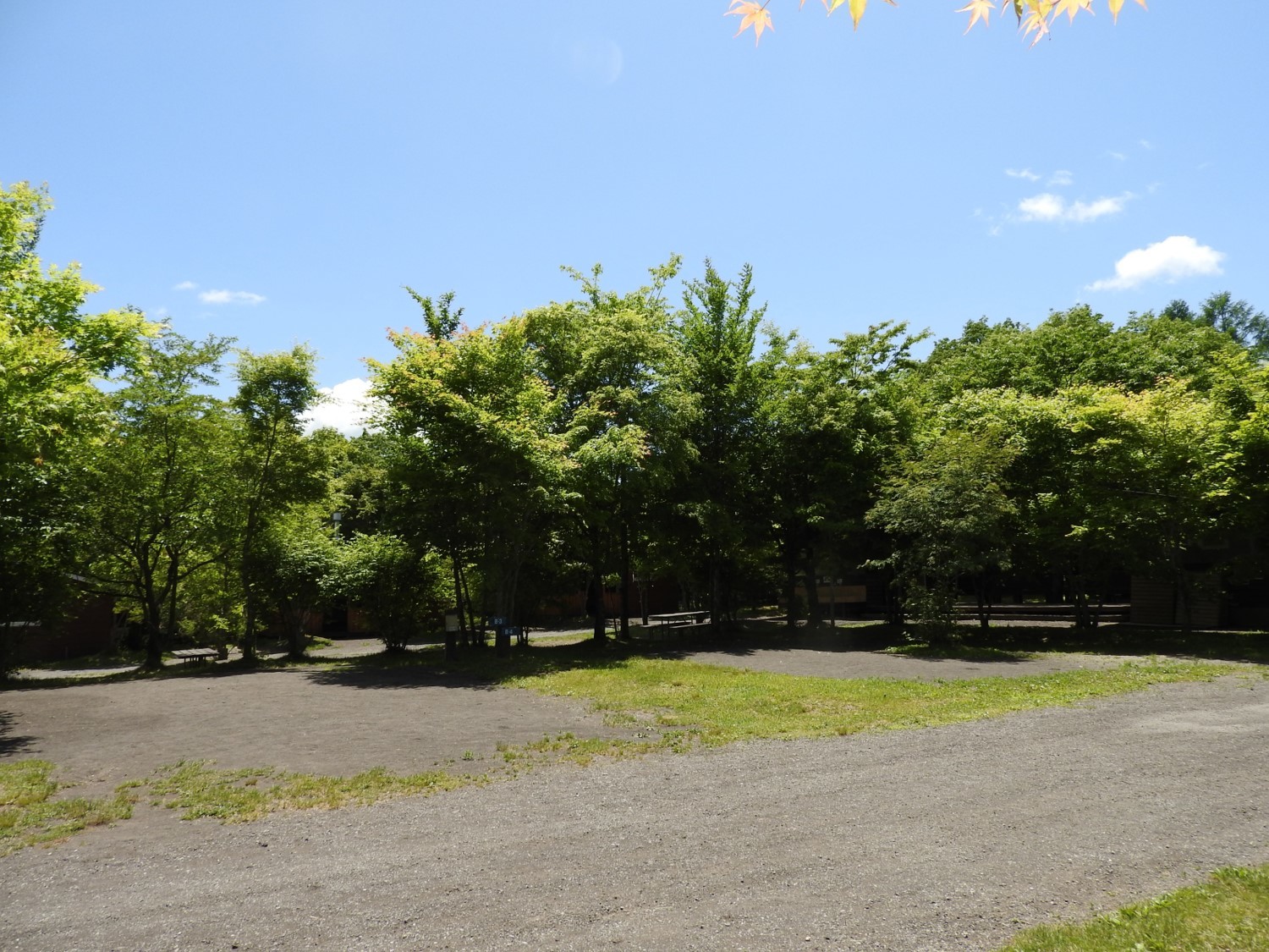 今週末の天気と気温（2018年6月7日）_b0174425_17075176.jpg