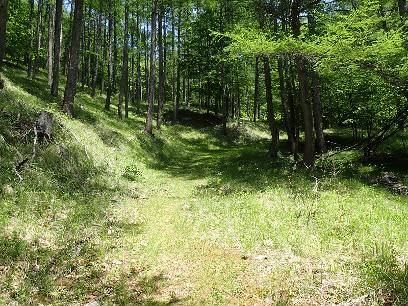 e0284726_21593321.jpg
