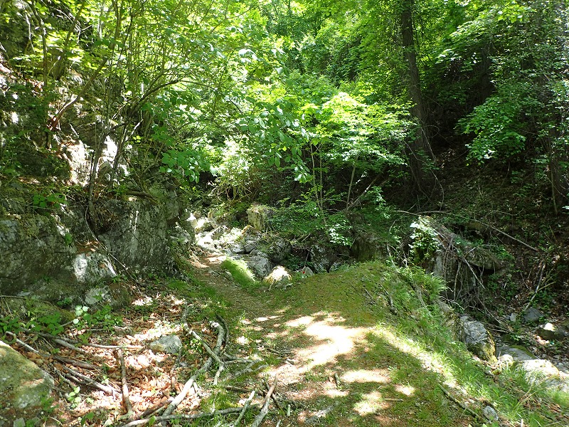 e0284726_2159688.jpg