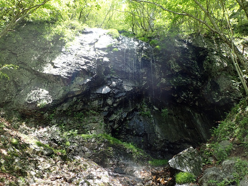 e0284726_2202086.jpg