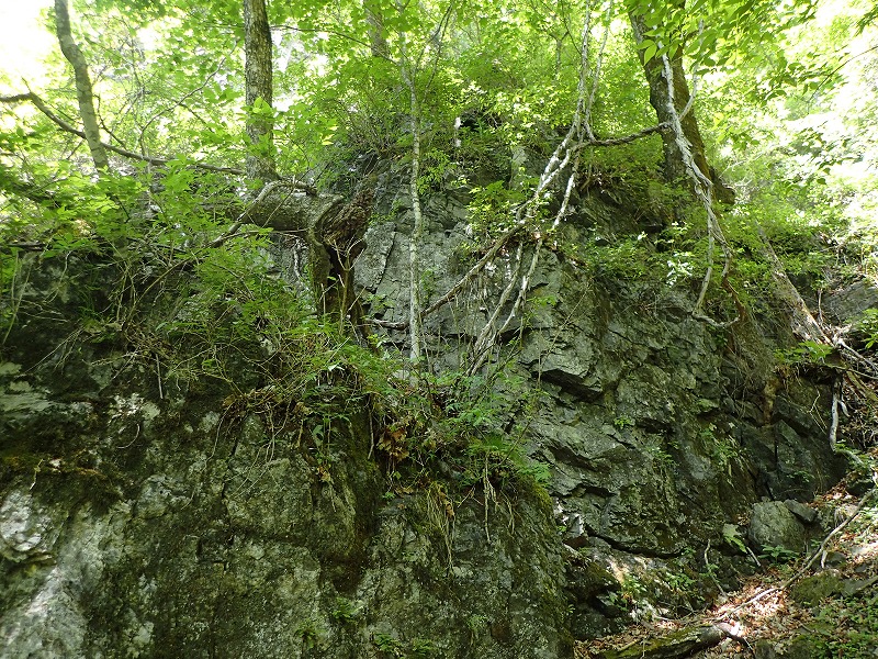 e0284726_22091.jpg