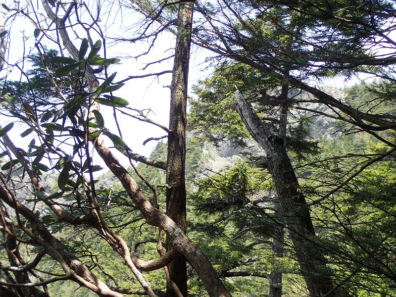 e0284726_221034.jpg