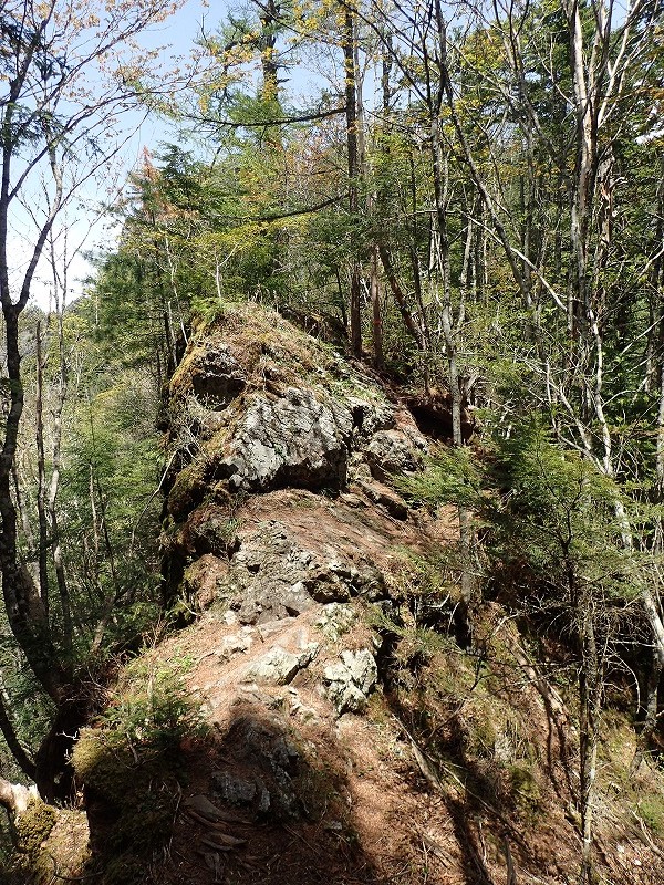 e0284726_2211160.jpg