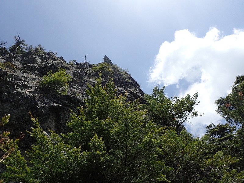e0284726_2212266.jpg