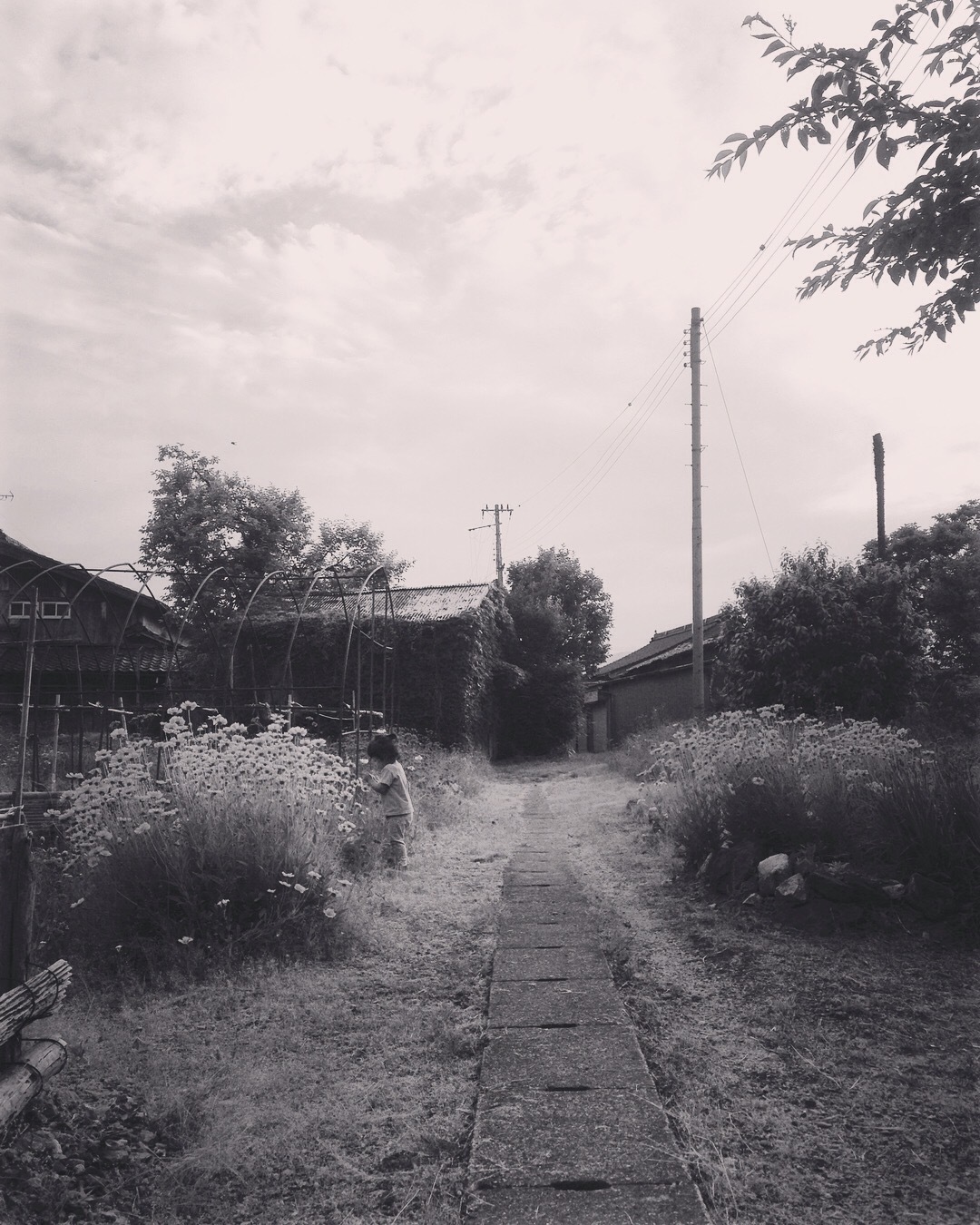 d0359627_20312659.jpg