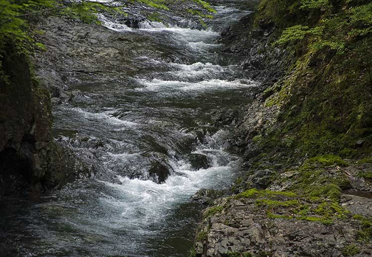 d0147530_08071188.jpg