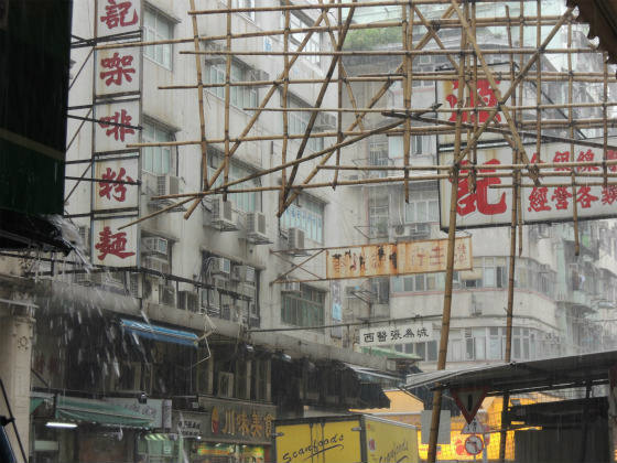 雨の中で匂いを食べたり　熱の中で影や日陰を探したり_b0367632_21373094.jpg