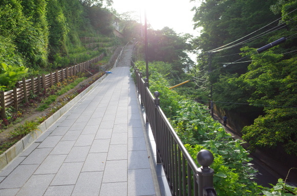 a0287336_23175298.jpg