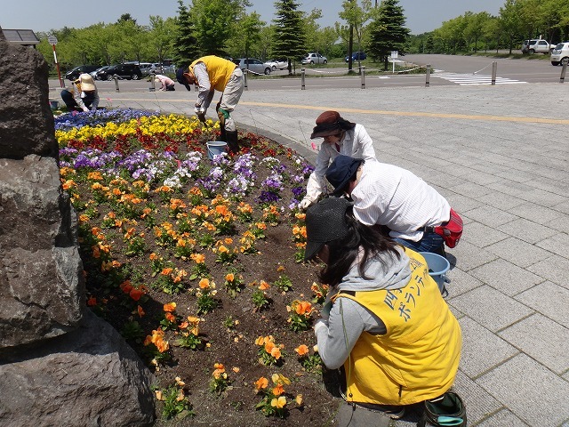 花緑ボランティアの活動　第７回　平成３０年６月７日（木）　　write：ＹＳ_c0233141_19030101.jpg