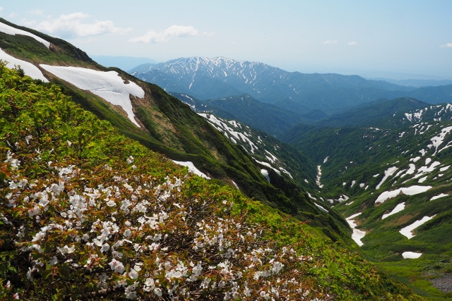 b0189948_01416.jpg