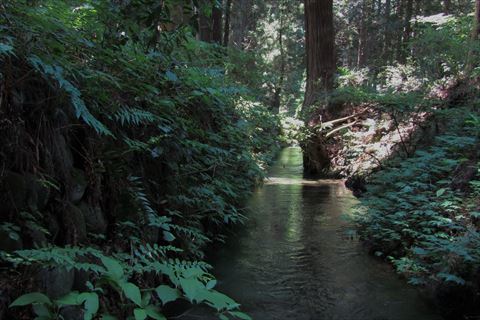 b0220251_04551536.jpg