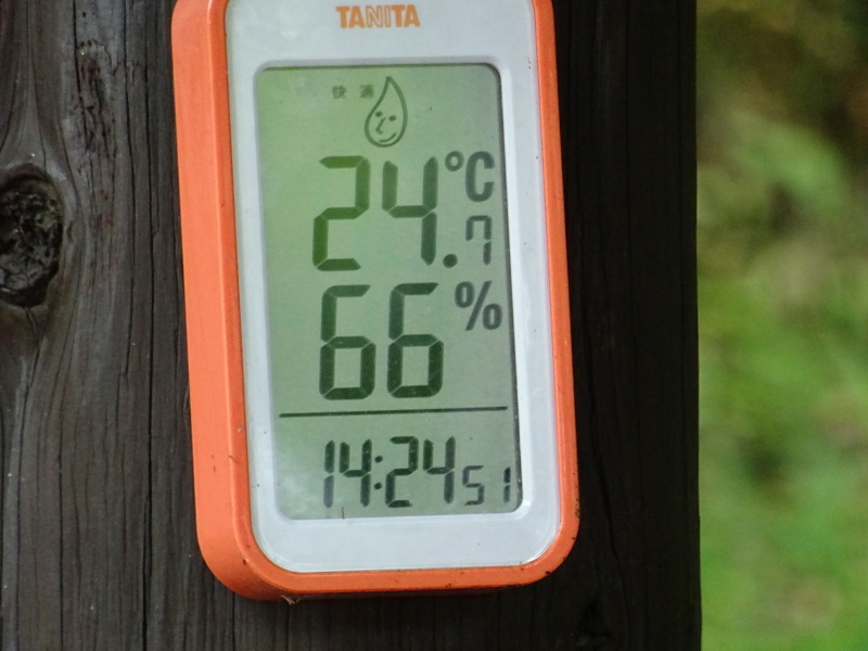 c0108460_22124567.jpg