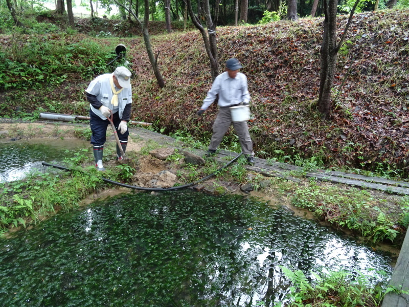 c0108460_22183886.jpg