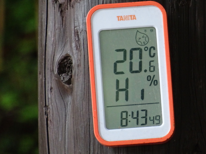 c0108460_22183907.jpg