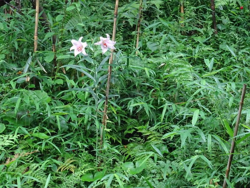 c0108460_22210242.jpg